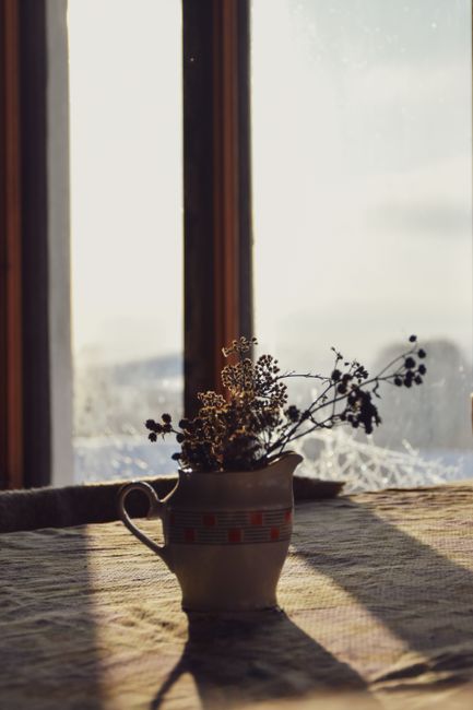 A calm, cared-for home interior